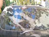 Opel Zafira 2002-1