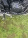 Yamaha  MT-07 (FZ-07) 2025-11