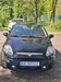 Fiat Punto 2010-0