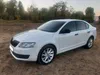Skoda Octavia 2015-1