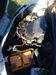 Renault Kangoo 2002-12