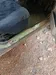 Nissan Sunny 1989-5