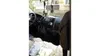 Volkswagen Transporter 2006-1