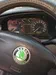 Skoda Octavia 1999-6