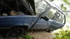 Skoda Favorit 1994-3