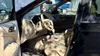 Nissan Pathfinder 2013-14