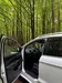 Ford Kuga 2015-18