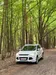 Ford Kuga 2015-0