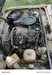 Lada (ВАЗ) 2106 1983-17