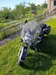 Suzuki Intruder VL 400 Classic 2006-1