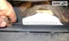 Opel Omega 1988-7