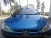 Peugeot 206 2004-1