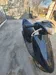 Honda Dio AF-34 2004-1