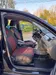 Skoda Rapid 2015-9