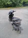 Honda Dio 2012-2