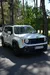 Jeep Renegade 2018-11
