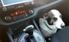 Kia Sportage 2013-4