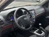 Hyundai Santa Fe 2009-9