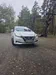 Nissan Leaf 2019-0