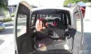 Nissan Primastar 2007-6