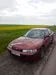 Honda Accord 1995-1