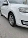 Skoda Rapid 2013-7