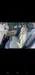 Chery Kimo (A1) 2011-1