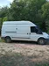 Ford Transit 1985-3