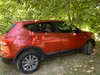 Nissan Qashqai 2009-6