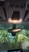 BMW i3 2017-23