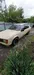Opel Commodore 1982-3