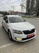 Skoda Octavia 2014-6