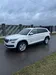 Skoda Kodiaq 2021-12