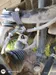 Hyundai Terracan 2006-12