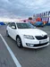 Skoda Octavia 2014-3