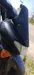 Suzuki Avenis 150 1996-5