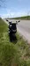 Suzuki Avenis 150 1996-0