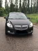 Opel Insignia 2010-0