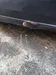 Renault Scenic 2006-8