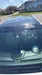 Ford Edge 2019-20
