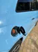 Fiat 500 2015-15