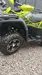 Bashan Explorer 320 2025-4