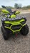 Bashan Explorer 320 2025-1