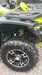 Bashan Explorer 320 2025-6