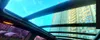 Fiat Stilo 2002-4