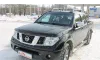 Nissan Navara (Frontier) 2008-8