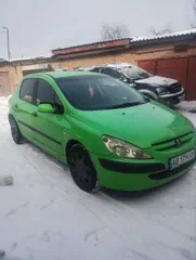 Peugeot 307 2001