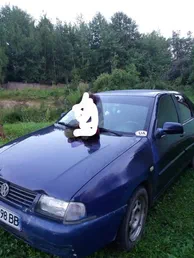 Volkswagen Polo 2000
