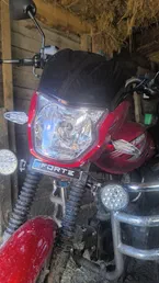 Fidelis Et Fortis S6 2024