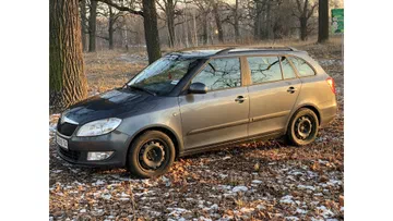Skoda Fabia 2010